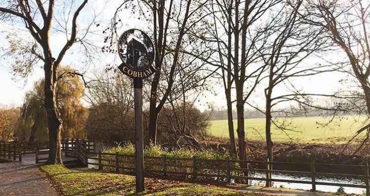 Cobham workplace hire - view of river